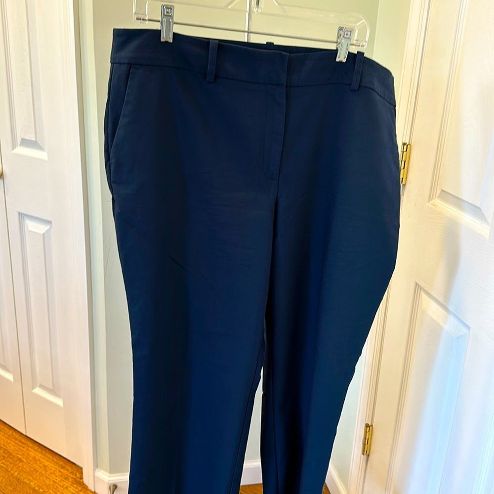 Like new Navy Blue Anne Taylor pants (16)